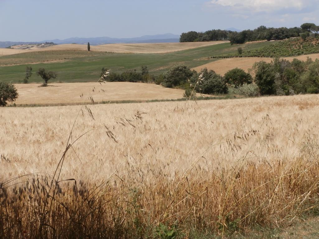 Vila Agriturismo Poggio Sassineri Magliano in Toscana Exteriér fotografie