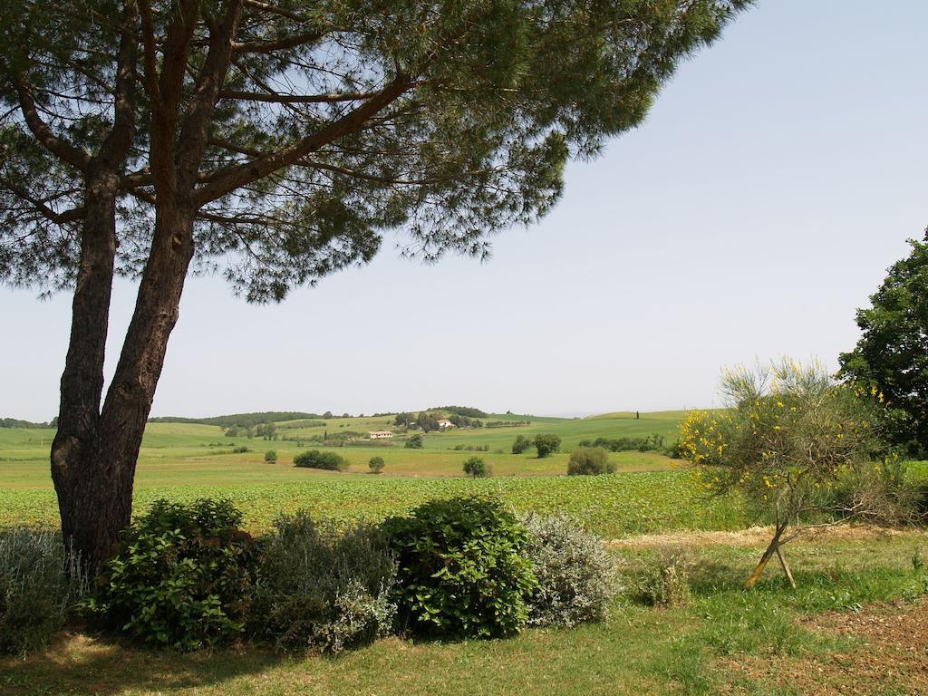 Vila Agriturismo Poggio Sassineri Magliano in Toscana Exteriér fotografie